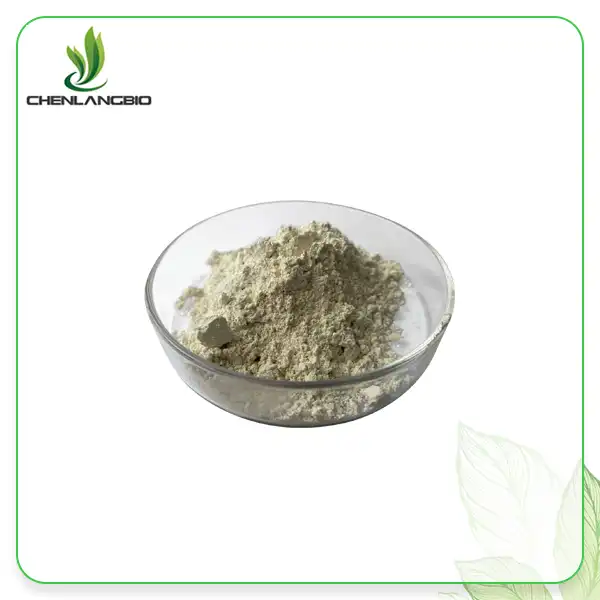 White Kidney Bean Extract Powder